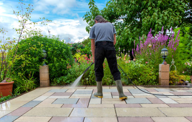 Best Driveway Pressure Washing  in Fair Plain, MI